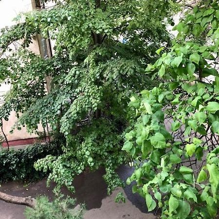 Wld House Daire Köstence Dış mekan fotoğraf