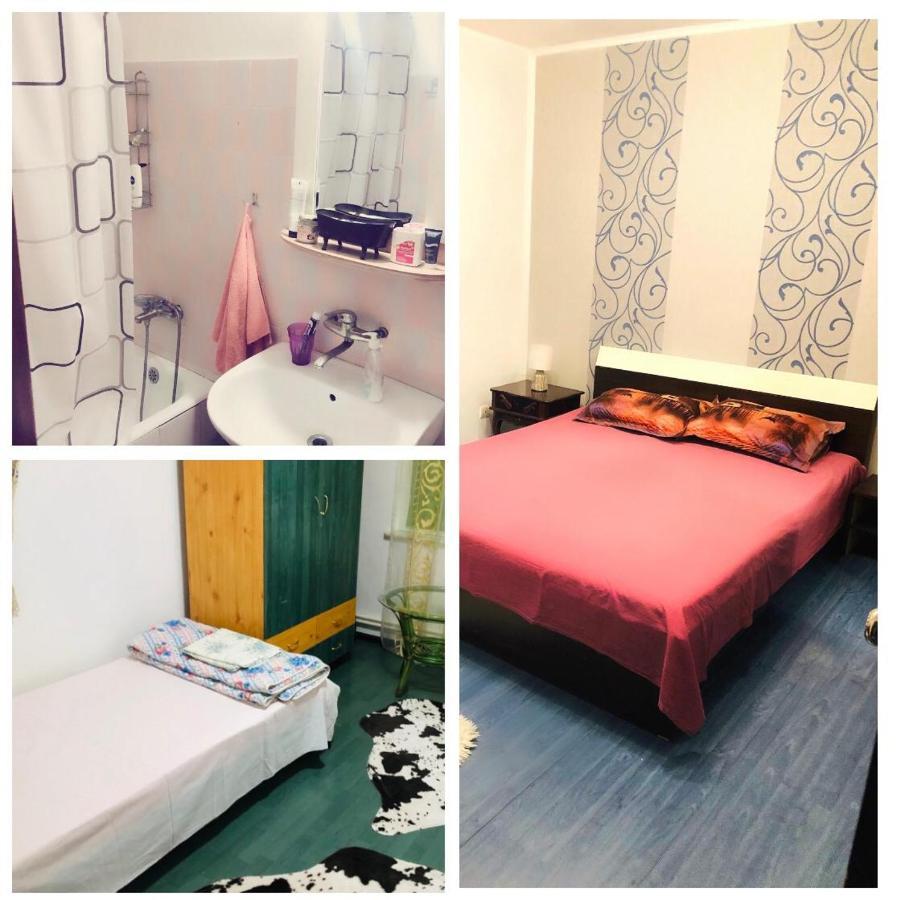Wld House Daire Köstence Dış mekan fotoğraf